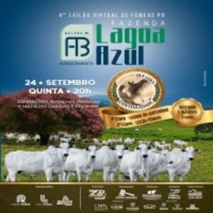 4º Leilão Virtual AB Fazenda Lagoa Azul - Fêmeas