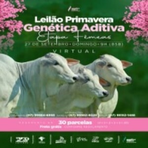 Leilão Primavera Genética Aditiva - Etapa Fêmeas