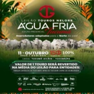 Leilão Touros Nelore Água Fria - Edição Presencial Tucumã