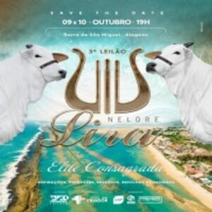 3º Leilão Nelore Lira Elite Consagrada