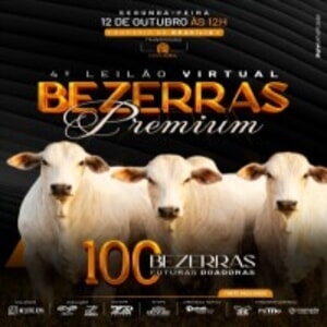4º Leilão Virtual Bezerras Premium