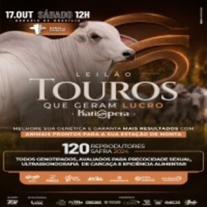 Leilão Touros Que Geram Lucro Katispera
