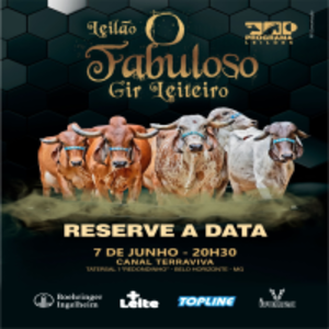 Leilão O Fabuloso Gir Leiteiro
