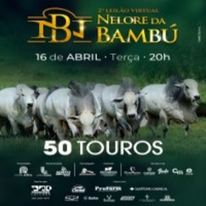 2° Leilão Virtual Nelore da Bambu - Touros