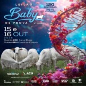 Leilão Virtual Baby de Prova 2ª Edição - 1ª Etapa