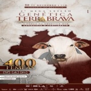 4ª Mega Leilão Virtual Genética Terra Brava