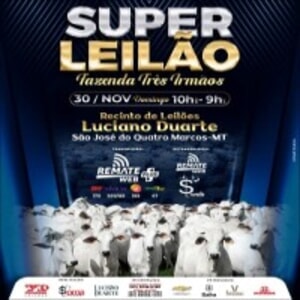 Super Leilão Fazenda Três Irmãos
