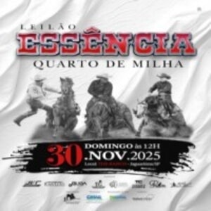 Leilão Essência Quarto de Milha