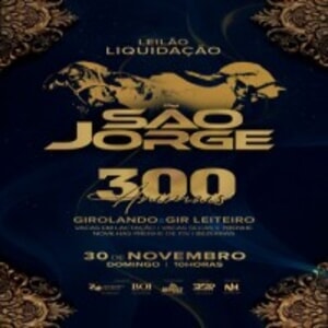 Leilão Liquidação Virtual São Jorge