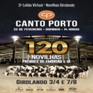 3° Leilão Virtual Novilhas Girolando Canto Porto