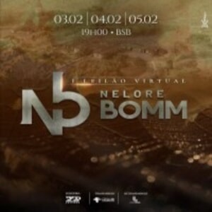 1° Leilão Virtual Nelore Bomm - Elite
