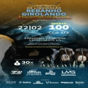 Leilão Virtual de Liquidação Fazenda Umuarama - Girolando e Equipamentos de Leite