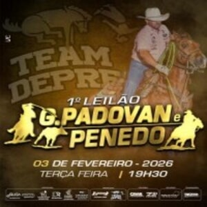 1º Leilão Virtual Padovan e Penedo