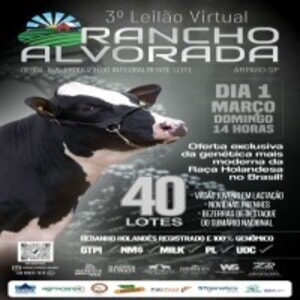 3º Leilão Virtual Rancho Alvorada