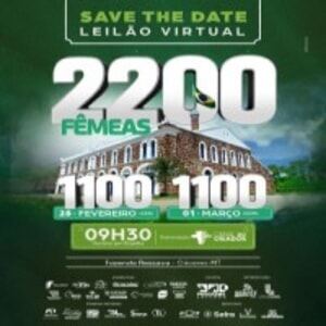 Leilão Virtual Fazenda Ressaca - 2ª Edição