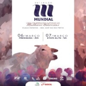 25º Leilão Mundial - Etapa Elite