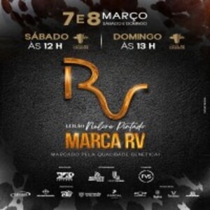 Leilão Virtual Nelore Pintado Marca RV - Fêmeas